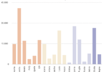 Infografica – DISABILITA’ 2019