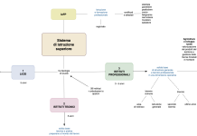 Orientamento scolastico – Le scuole superiori